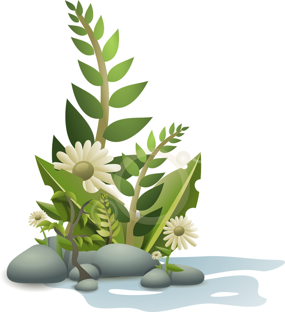 entdecken sie vielf&auml;ltige pflanzenarten f&uuml;r garten und zuhause &ndash; von gr&uuml;nen zimmerpflanzen bis zu bl&uuml;henden gartenpflanzen f&uuml;r jede umgebung und jeden stil.